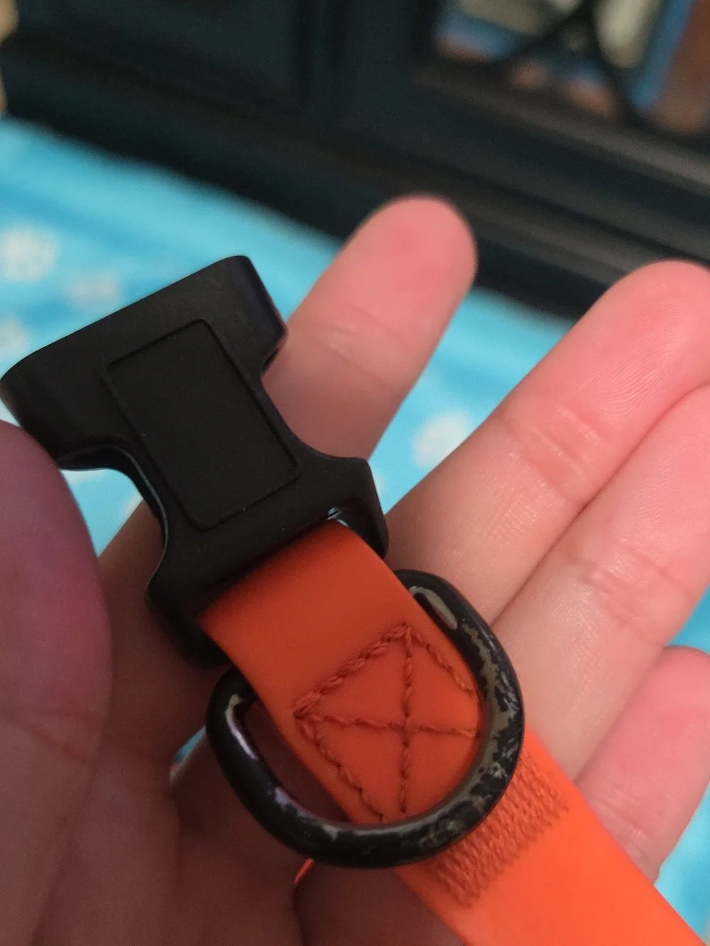 Orange Rubber Waterproof Dog Collar